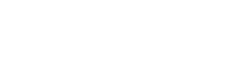 Hotel Loyalty Points