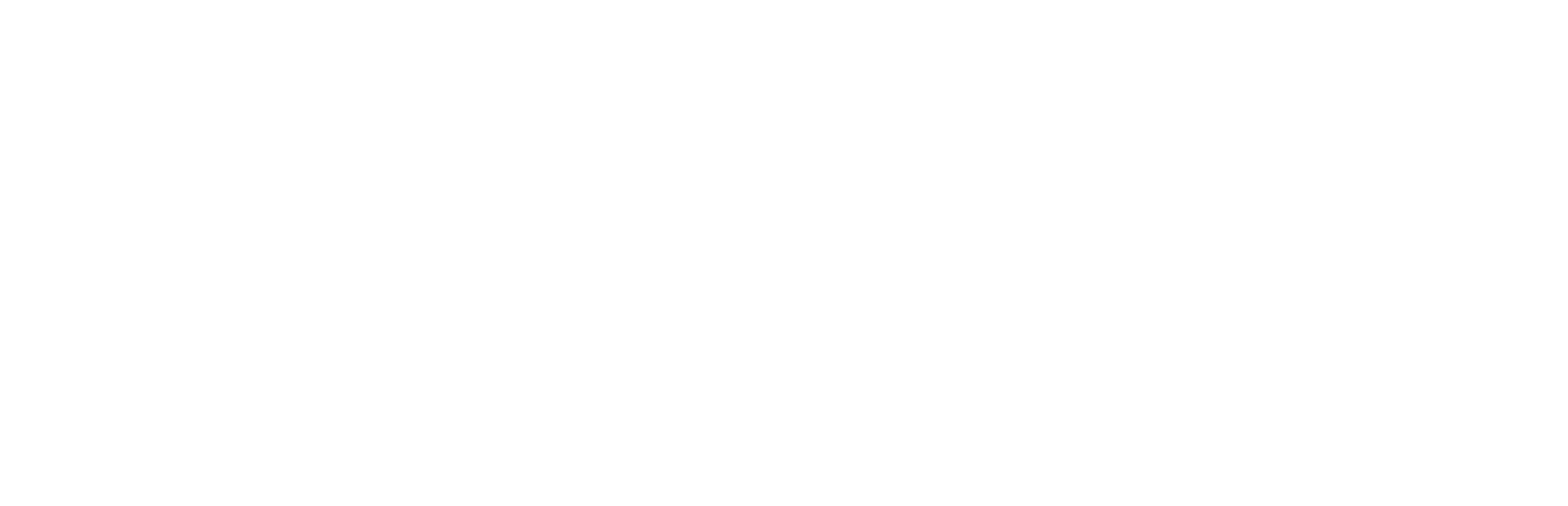 Hotel Loyalty Points